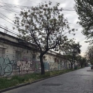 Fotografía en colores del muro posterior del edificio de la ex Refinería de Azúcar en la actualidad. Se observa una muralla de hormigón alta y rayada con grafitis. En la vereda se ve pasto crecido y árboles grandes. De fondo se ve el cielo.